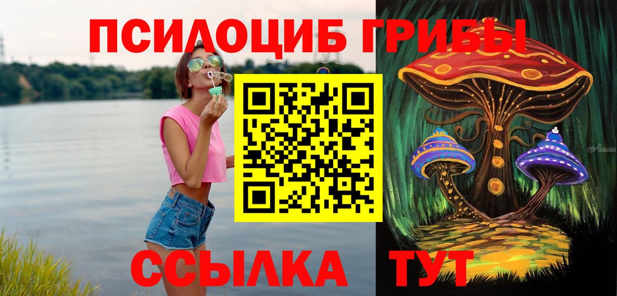 Псилоцибиновые грибы Cubensis  Галлюциногенные грибы прущие грибы  Вход с VPN  где купить наркотик  Ефремов 