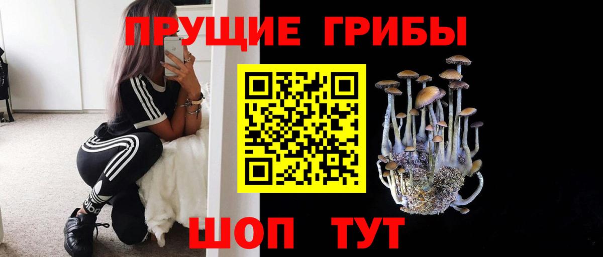 Галлюциногенные грибы прущие грибы Ефремов